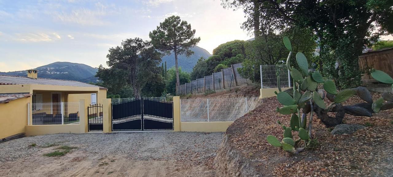 Appartamento Agreable Rez De Jardin Avec Piscine Et Jacuzzi Cervione Esterno foto